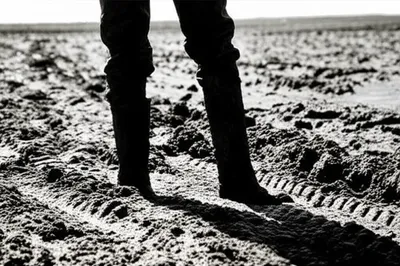 Illustration trouncing - Image 1