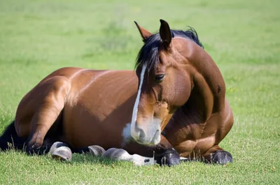 Illustration wind - Image 1