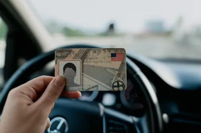 Illustration licence - Image 1