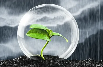 Illustration prevented