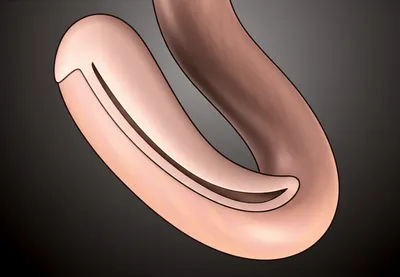 Illustration uncut - Image 1