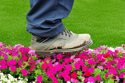 Illustration trespasses - Image 1