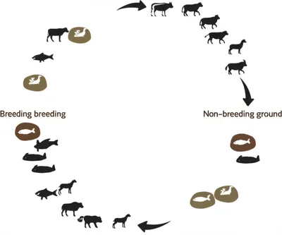 Illustration migration - Image 1