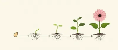 Illustration endpoints - Image 1