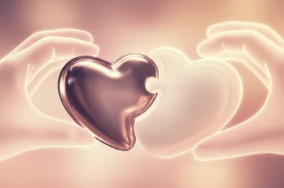 Illustration pans - Image 1