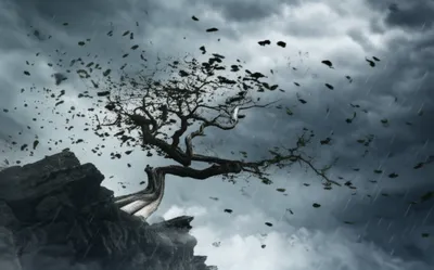 Illustration gusty - Image 1