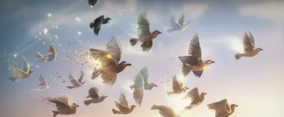 Illustration molt - Image 1