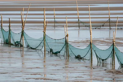 Illustration ebbing - Image 1