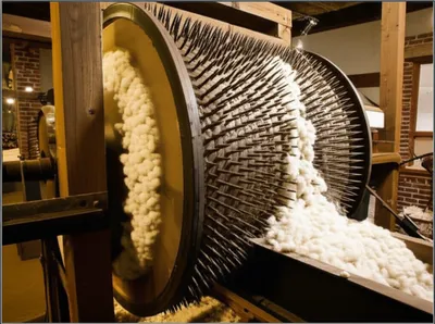 Illustration willow - Image 1