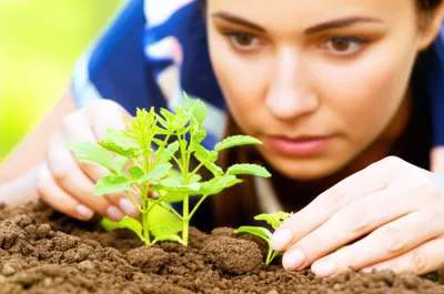 Illustration minding - Image 1