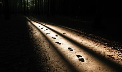 Illustration tracked - Image 1