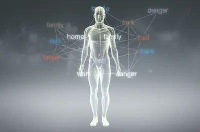 Illustration schemas - Image 1