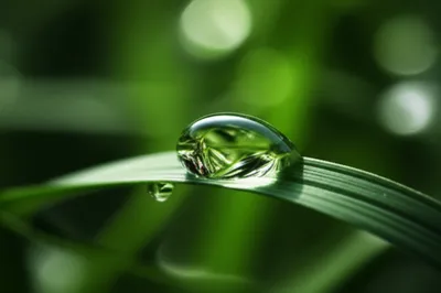 Illustration softest - Image 1