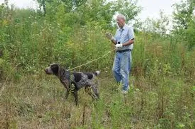 Illustration point - Image 2