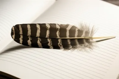 Illustration personally