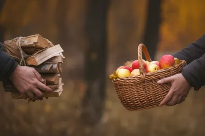 Illustration chopped - Image 1