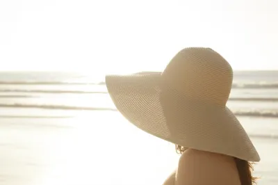 Illustration sundowns - Image 1