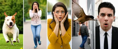 Illustration freeze - Image 1