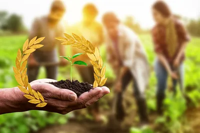 Illustration honours - Image 1