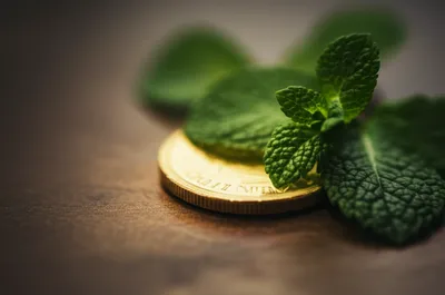 Illustration minted - Image 1