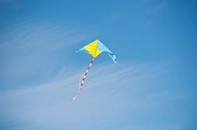 Illustration trailed - Image 1