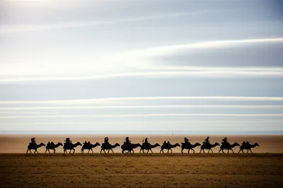 Illustration overland - Image 1