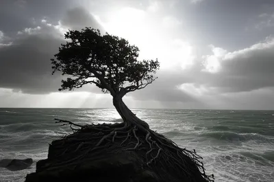 Illustration staying - Image 1