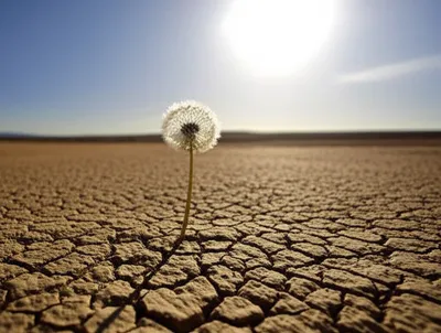 Illustration triviality