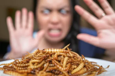 Illustration revolts - Image 1