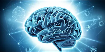 Illustration theories - Image 1