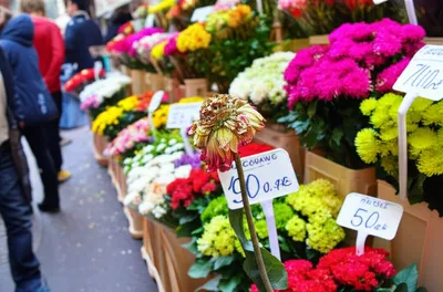 Illustration sacrifices - Image 1