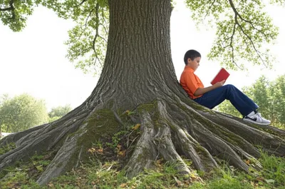 Illustration dependable