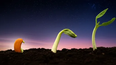 Illustration overnight - Image 1