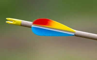 Illustration fletching - Image 1