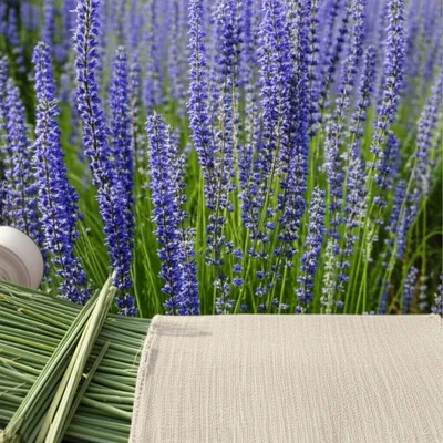 Illustration flax - Image 1