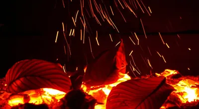 Illustration crackling - Image 1