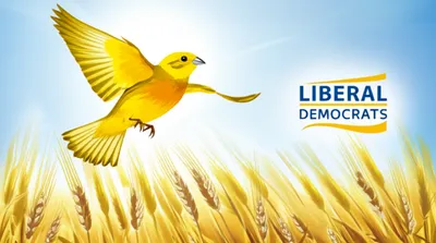 Illustration yellow - Image 1