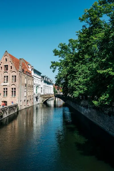 Illustration ter - Image 2