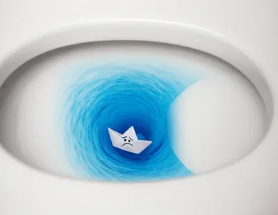 Illustration flushes - Image 1