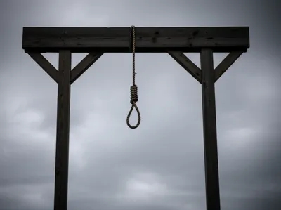 Illustration hangings