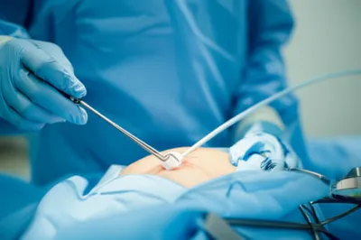 Illustration retrievers - Image 1