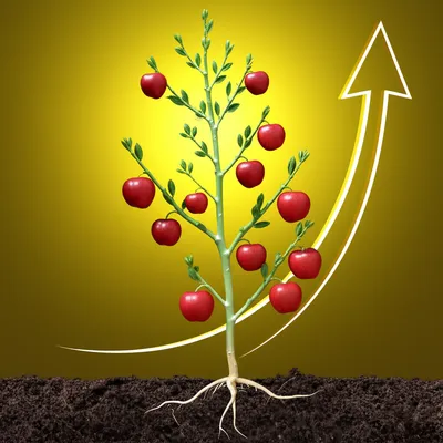 Illustration utilising - Image 1