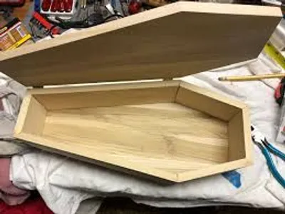 Illustration shell - Image 6