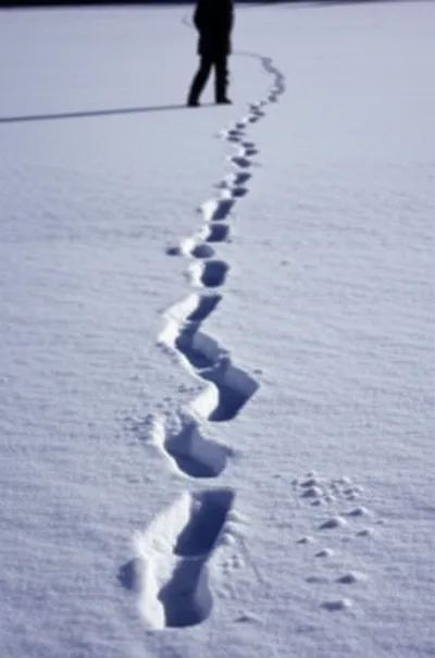 Illustration traces - Image 1