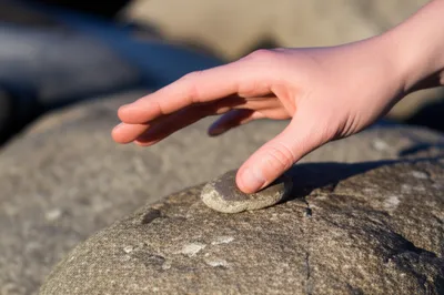 Illustration back - Image 1