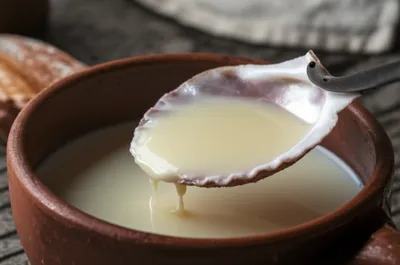 Illustration skimmer - Image 1