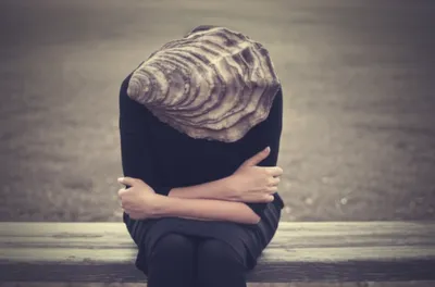 Illustration clam - Image 1