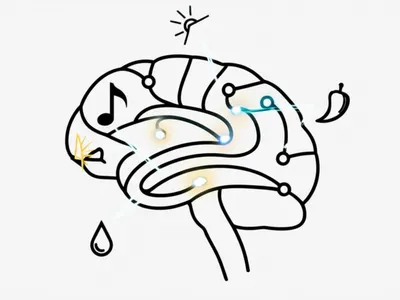 Illustration stimuli