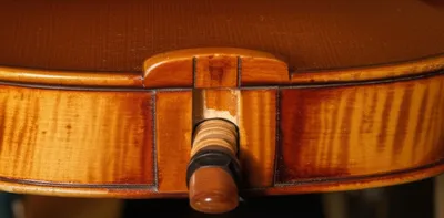 Illustration spikes - Image 1