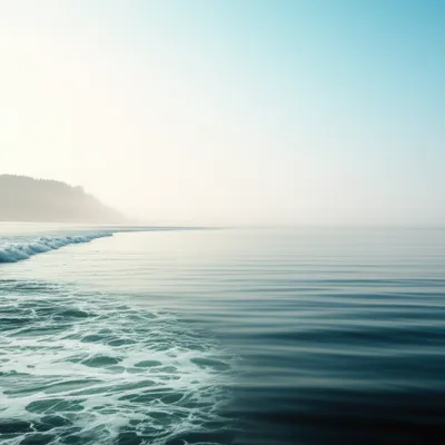 Illustration settle - Image 1